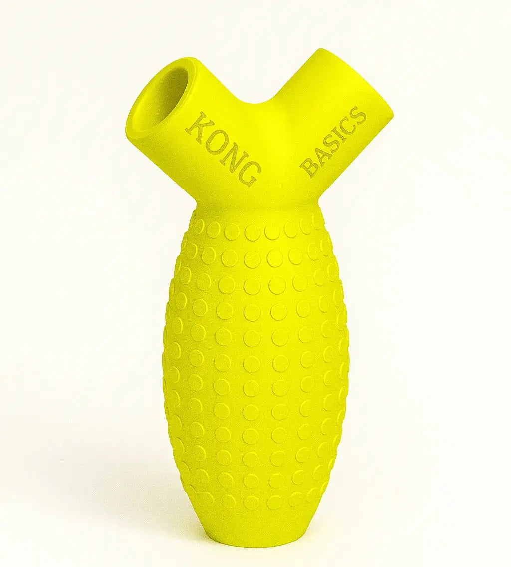 Kong Basics: Y Grip